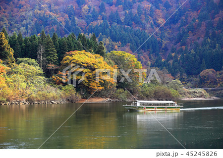 紅葉最上川舟下り 紅葉最上川舟下り 45245826
