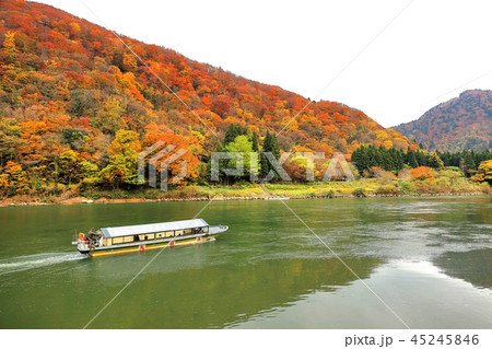 紅葉最上川舟下り 紅葉最上川舟下り 45245846