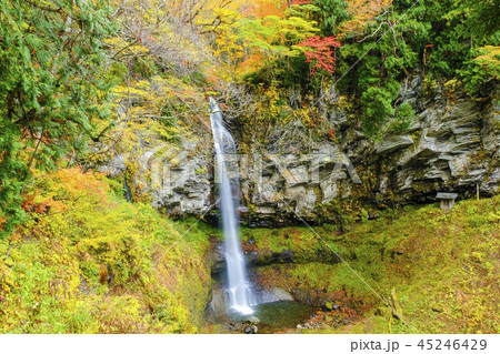 秋の裏見の滝 秋の裏見の滝 45246429