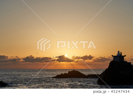 オランの 釜山 機張郡 45247434