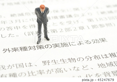 環境イメージ 45247679