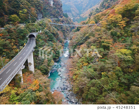 祖谷渓の秋の風景 45248351
