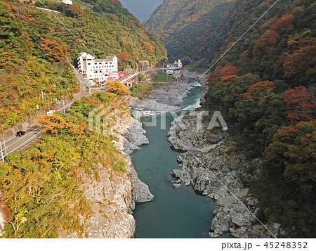 祖谷川の秋の風景 45248352