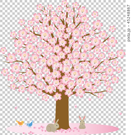 桜の木 小動物のイラスト素材