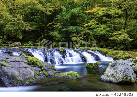 秋の色に染まりつつある菊池渓谷 秋の色に染まりつつある菊池渓谷 45248902