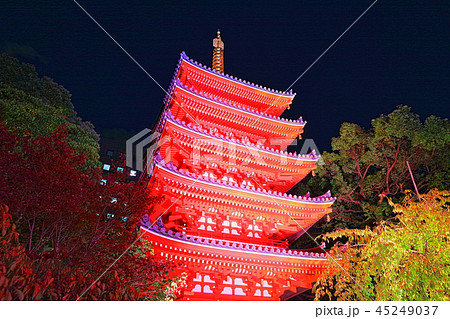 東長寺　博多ライトアップウォーク（博多千年煌夜） 45249037