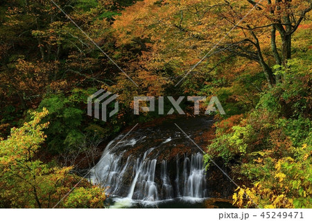 紅葉の滝 紅葉の滝 45249471