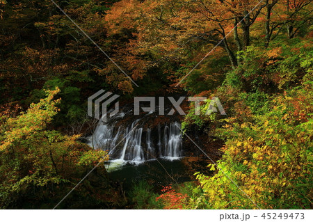 紅葉の滝 45249473
