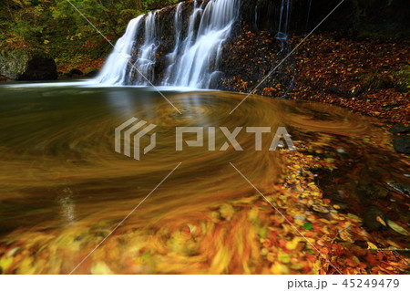 紅葉の滝 紅葉の滝 45249479