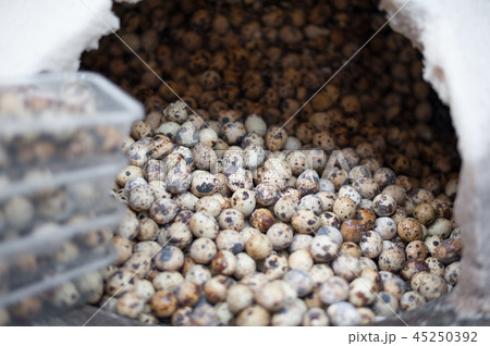 Quail eggs in a street market Quail eggs in a street market 45250392