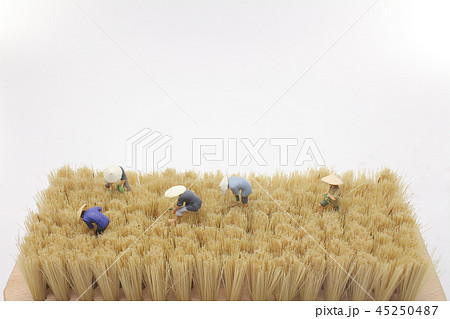 a fun of mini of  farmer working 45250487