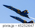 Blue Angels 17 45252647