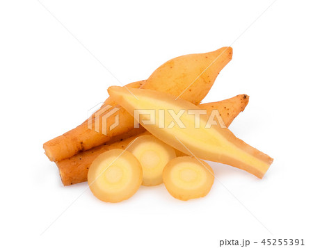 fingerroot isolated on white background 45255391