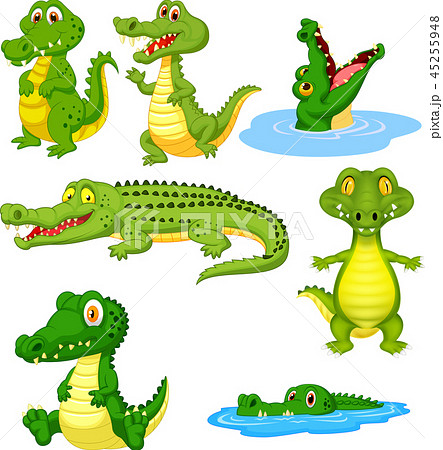 Cartoon green crocodile collection set 45255948