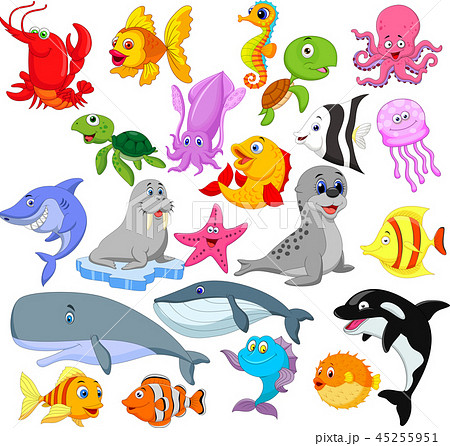 Cartoon sea life collection set 45255951
