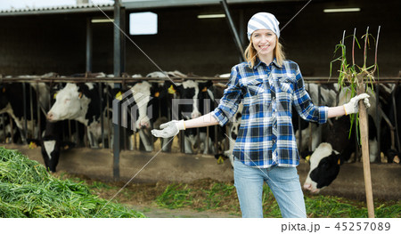 Young cowgirl collecting grass for cows Young cowgirl collecting grass for cows 45257089