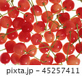 さくらんぼ 45257411