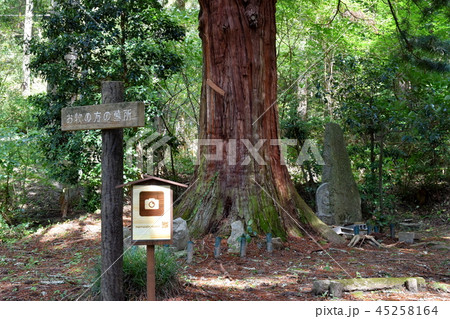 お牧の方の墓所 お牧の方の墓所 45258164