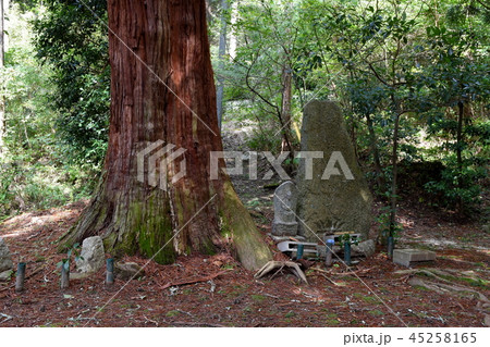 お牧の方の墓所 45258165