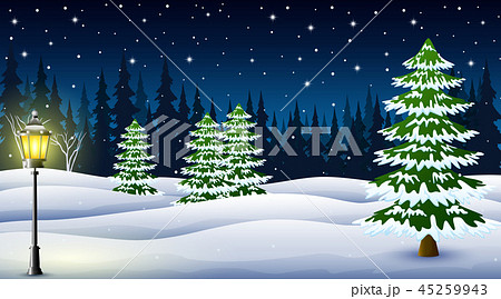 winter night pine trees and street lamp at night 45259943