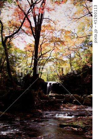 阿蘇　マゼノ渓谷の秋景色 45260113