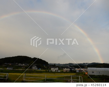 雨上がりの虹 雨上がりの虹 45260114
