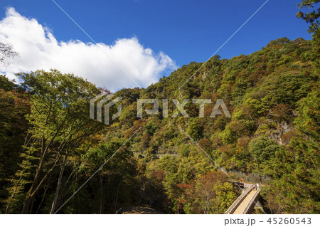 吾妻渓谷02 45260543