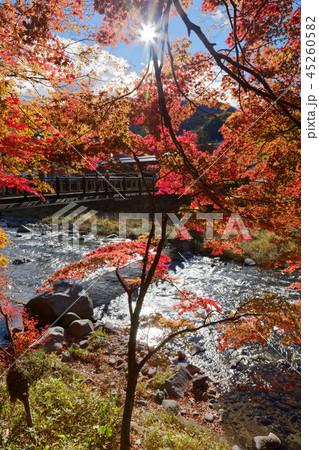 紅の吊橋 紅葉 光芒 紅の吊橋 紅葉 光芒 45260582