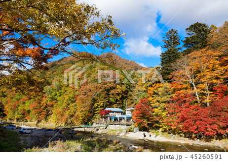 紅の吊橋より箒川沿いの紅葉を望む 45260591