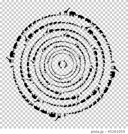 生物 生物 45261059