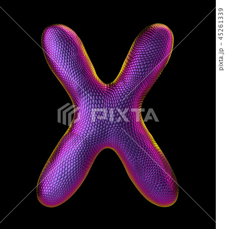Letter X made of natural purple snake skin texture isolated on black. 45261339