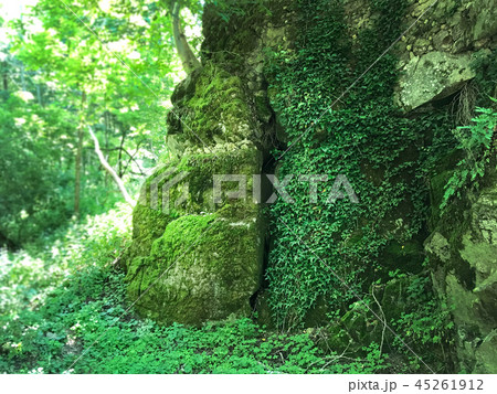 Beautiful green mountain landscape in Spain 45261912