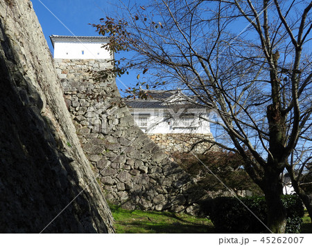 岡山県津山市の桜の名所「鶴山公園(津山城趾)」:落葉の桜と備中櫓 岡山県津山市の桜の名所「鶴山公園(津山城趾)」:落葉の桜と備中櫓 45262007