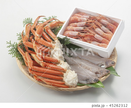 日本海の魚介類 日本海の魚介類 45262312