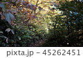 田代山／登山道01 45262451