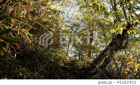 田代山／登山道02 45262452