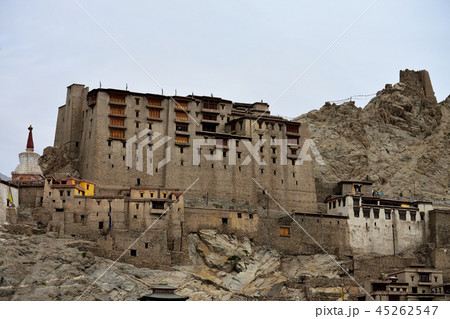 Leh Palace in Ladakh, India 45262547