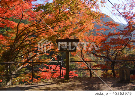 秩父 金蔵落しの渓谷 秩父 金蔵落しの渓谷 45262979