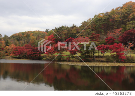 水面に映る紅葉 45263278