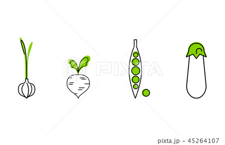 Fresh vegetables line icons set, garlic, green peas, beetroot, eggplant, organic healthy food vector Fresh vegetables line icons set, garlic, green peas, beetroot, eggplant, organic healthy food vector 45264107