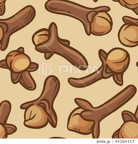 clove seeds vector pattern 45264157