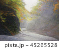 霧の吹割渓谷の風景絵画 45265528