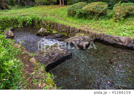 《静岡県》水の都、三島市の白滝公園 45266159