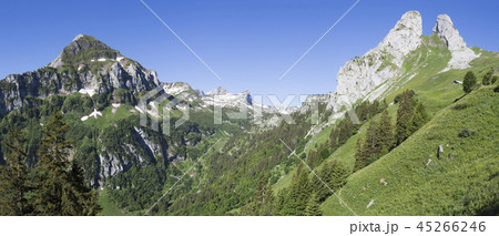 Les Jumelles mountains near Tanay village (CH) Les Jumelles mountains near Tanay village (CH) 45266246