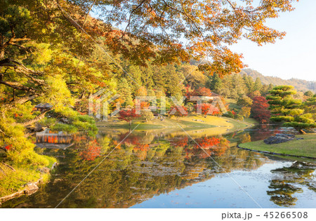 修学院離宮の浴龍池の紅葉 45266508
