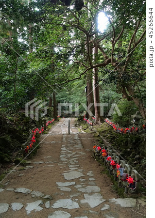 滋賀県の湖東三山の一つ金剛輪寺の参道と脇に並ぶ千躰地蔵の景観です 滋賀県の湖東三山の一つ金剛輪寺の参道と脇に並ぶ千躰地蔵の景観です 45266644