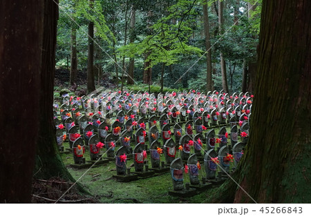滋賀県の湖東三山の一つ金剛輪寺の千躰地蔵さん達です 滋賀県の湖東三山の一つ金剛輪寺の千躰地蔵さん達です 45266843