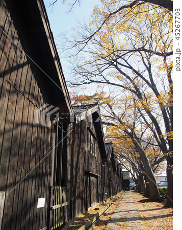 秋の酒田市山居倉庫 45267703