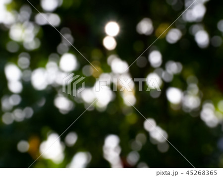 green bokeh background. 45268365