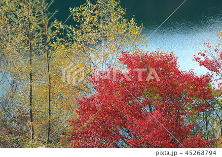 湖畔の紅葉 湖畔の紅葉 45268794